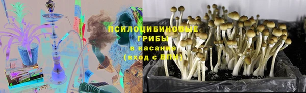 марки lsd Богородицк