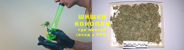прущие грибы Богородск