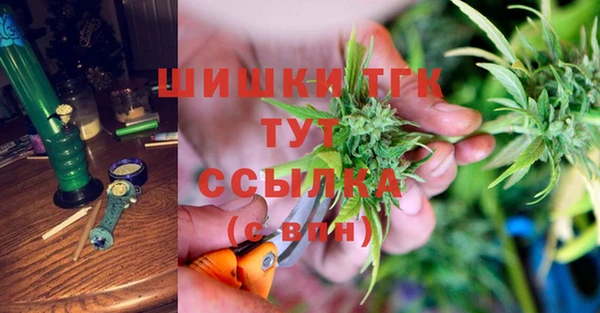 прущие грибы Богородск