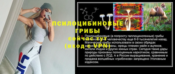марки lsd Богородицк