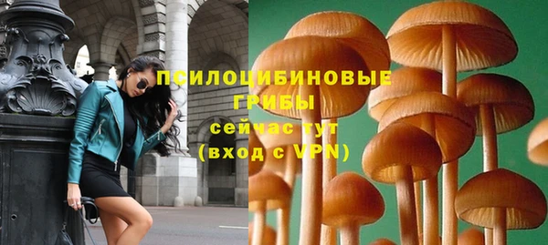 марки lsd Богданович